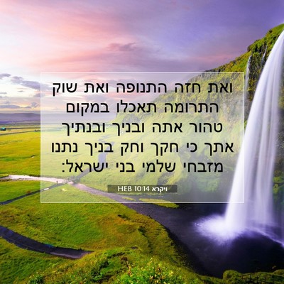 Picture 07 - ויקרא 10:14 HEB - ואת חזה התנופה ואת שוק - Bible Verse Picture