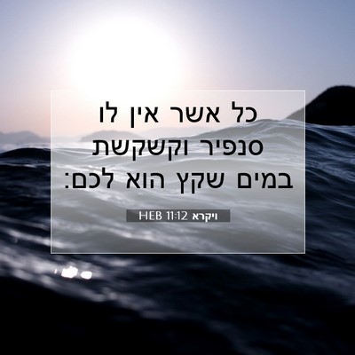 Picture 07 - ויקרא 11:12 HEB - כל אשר אין לו סנפיר וקשקשת - Bible Verse Picture