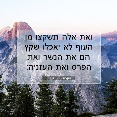 Picture 07 - ויקרא 11:13 HEB - ואת אלה תשקצו מן העוף לא - Bible Verse Picture
