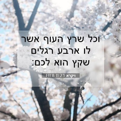 Picture 07 - ויקרא 11:23 HEB - וכל שרץ העוף אשר לו ארבע - Bible Verse Picture