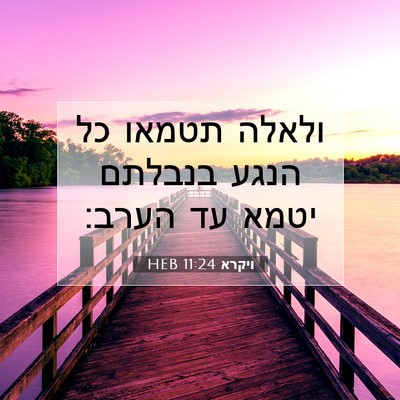 Picture 07 - ויקרא 11:24 HEB - ולאלה תטמאו כל הנגע בנבלתם - Bible Verse Picture