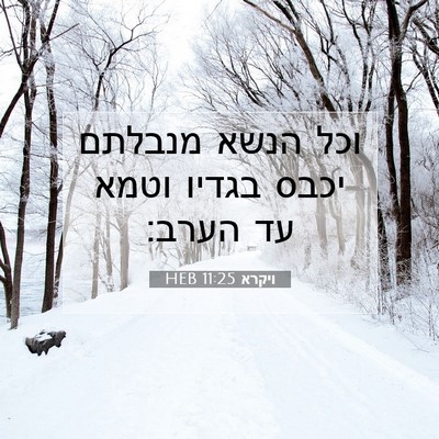 Picture 07 - ויקרא 11:25 HEB - וכל הנשא מנבלתם יכבס בגדיו - Bible Verse Picture