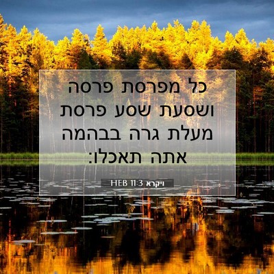 Picture 07 - ויקרא 11:3 HEB - כל מפרסת פרסה ושסעת שסע - Bible Verse Picture