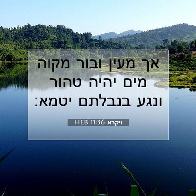 Picture 07 - ויקרא 11:36 HEB - אך מעין ובור מקוה מים יהיה - Bible Verse Picture