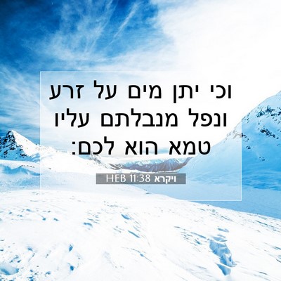 Picture 07 - ויקרא 11:38 HEB - וכי יתן מים על זרע ונפל - Bible Verse Picture