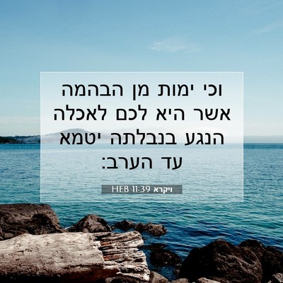 Picture 07 - ויקרא 11:39 HEB - וכי ימות מן הבהמה אשר היא - Bible Verse Picture
