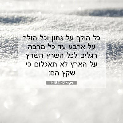 Picture 07 - ויקרא 11:42 HEB - כל הולך על גחון וכל הולך על - Bible Verse Picture