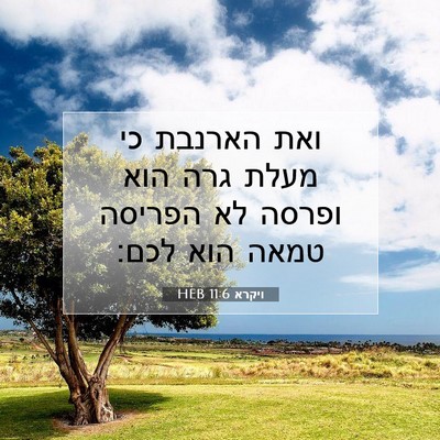 Picture 07 - ויקרא 11:6 HEB - ואת הארנבת כי מעלת גרה הוא - Bible Verse Picture