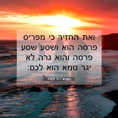 Picture 07 - ויקרא 11:7 HEB - ואת החזיר כי מפריס פרסה הוא - Bible Verse Picture