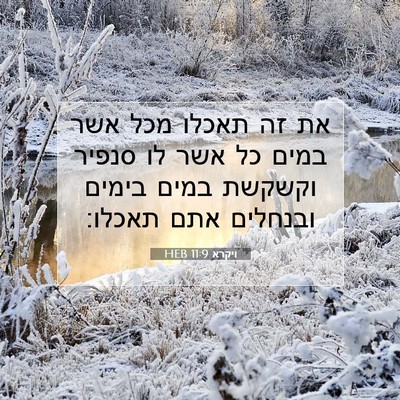 Picture 07 - ויקרא 11:9 HEB - את זה תאכלו מכל אשר במים כל - Bible Verse Picture