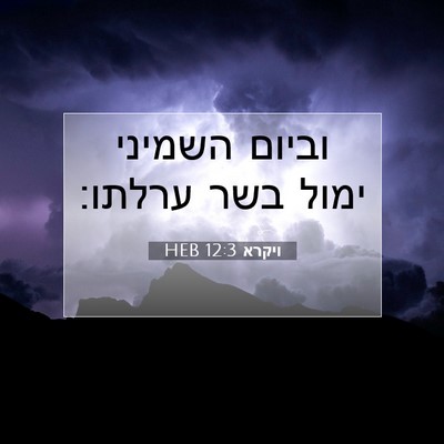 Picture 07 - ויקרא 12:3 HEB - וביום השמיני ימול בשר - Bible Verse Picture