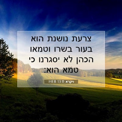 Picture 07 - ויקרא 13:11 HEB - צרעת נושנת הוא בעור בשרו - Bible Verse Picture