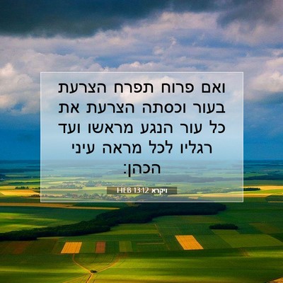 Picture 07 - ויקרא 13:12 HEB - ואם פרוח תפרח הצרעת בעור - Bible Verse Picture