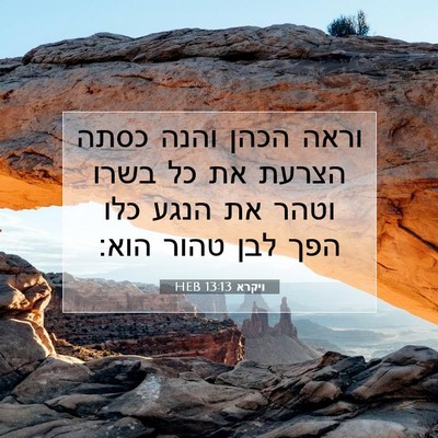 Picture 07 - ויקרא 13:13 HEB - וראה הכהן והנה כסתה הצרעת - Bible Verse Picture