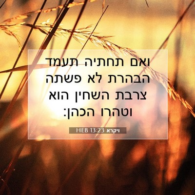 Picture 07 - ויקרא 13:23 HEB - ואם תחתיה תעמד הבהרת לא - Bible Verse Picture