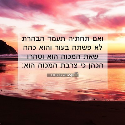 Picture 07 - ויקרא 13:28 HEB - ואם תחתיה תעמד הבהרת לא - Bible Verse Picture