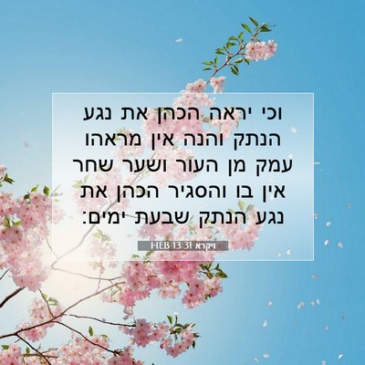 Picture 07 - ויקרא 13:31 HEB - וכי יראה הכהן את נגע הנתק - Bible Verse Picture