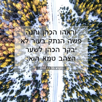 Picture 07 - ויקרא 13:36 HEB - וראהו הכהן והנה פשה הנתק - Bible Verse Picture