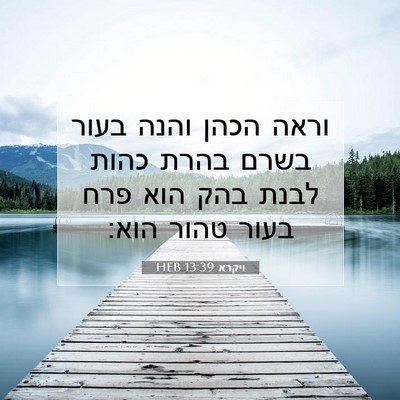 Picture 07 - ויקרא 13:39 HEB - וראה הכהן והנה בעור בשרם - Bible Verse Picture