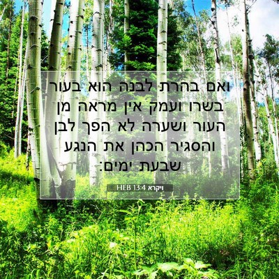 Picture 07 - ויקרא 13:4 HEB - ואם בהרת לבנה הוא בעור בשרו - Bible Verse Picture