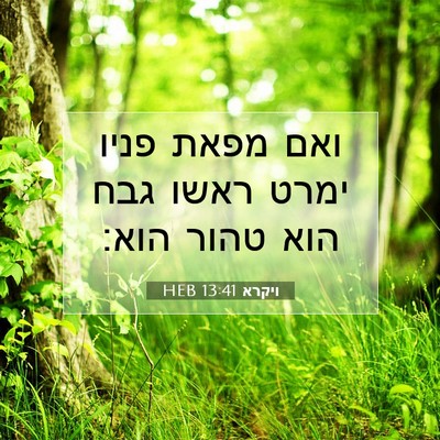 Picture 07 - ויקרא 13:41 HEB - ואם מפאת פניו ימרט ראשו גבח - Bible Verse Picture