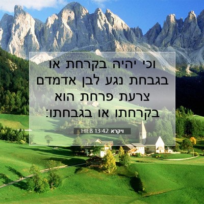 Picture 07 - ויקרא 13:42 HEB - וכי יהיה בקרחת או בגבחת נגע - Bible Verse Picture