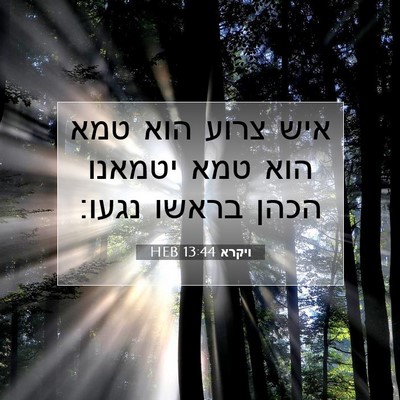 Picture 07 - ויקרא 13:44 HEB - איש צרוע הוא טמא הוא טמא - Bible Verse Picture