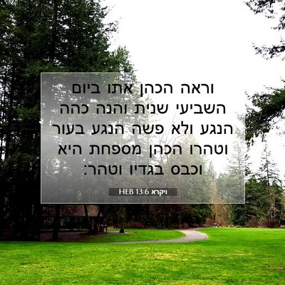 Picture 07 - ויקרא 13:6 HEB - וראה הכהן אתו ביום השביעי - Bible Verse Picture