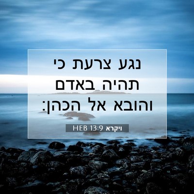 Picture 07 - ויקרא 13:9 HEB - נגע צרעת כי תהיה באדם והובא - Bible Verse Picture