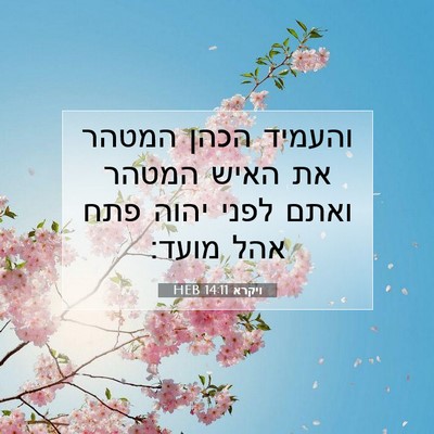 Picture 07 - ויקרא 14:11 HEB - והעמיד הכהן המטהר את האיש - Bible Verse Picture