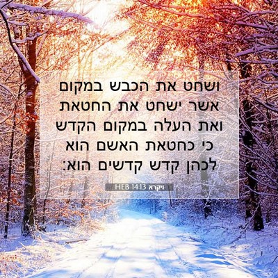 Picture 07 - ויקרא 14:13 HEB - ושחט את הכבש במקום אשר ישחט - Bible Verse Picture
