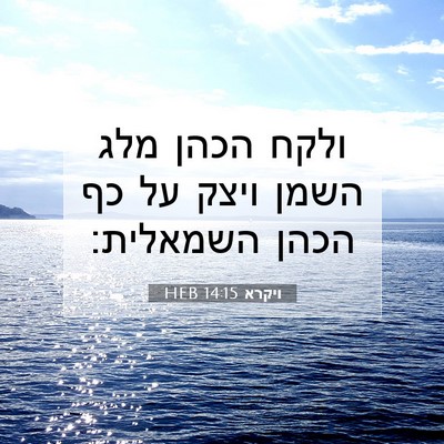 Picture 07 - ויקרא 14:15 HEB - ולקח הכהן מלג השמן ויצק על - Bible Verse Picture