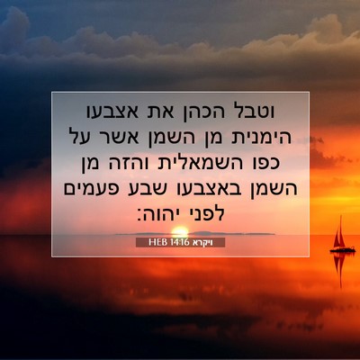 Picture 07 - ויקרא 14:16 HEB - וטבל הכהן את אצבעו הימנית - Bible Verse Picture