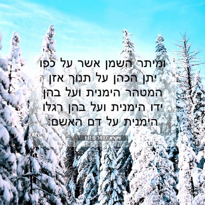 Picture 07 - ויקרא 14:17 HEB - ומיתר השמן אשר על כפו יתן - Bible Verse Picture
