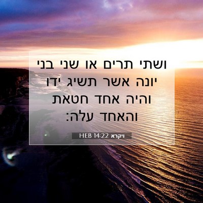 Picture 07 - ויקרא 14:22 HEB - ושתי תרים או שני בני יונה - Bible Verse Picture