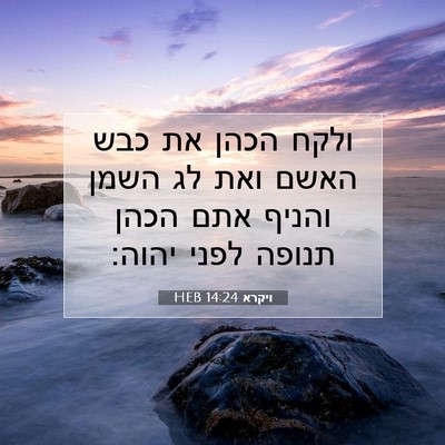 Picture 07 - ויקרא 14:24 HEB - ולקח הכהן את כבש האשם ואת - Bible Verse Picture