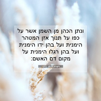 Picture 07 - ויקרא 14:28 HEB - ונתן הכהן מן השמן אשר על - Bible Verse Picture