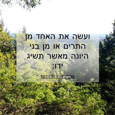 Picture 07 - ויקרא 14:30 HEB - ועשה את האחד מן התרים או מן - Bible Verse Picture