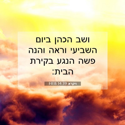 Picture 07 - ויקרא 14:39 HEB - ושב הכהן ביום השביעי וראה - Bible Verse Picture