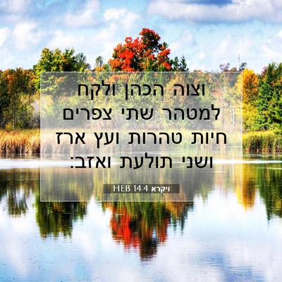 Picture 07 - ויקרא 14:4 HEB - וצוה הכהן ולקח למטהר שתי - Bible Verse Picture