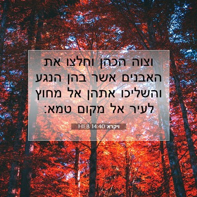 Picture 07 - ויקרא 14:40 HEB - וצוה הכהן וחלצו את האבנים - Bible Verse Picture