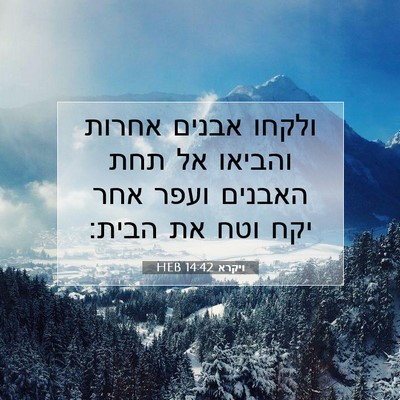 Picture 07 - ויקרא 14:42 HEB - ולקחו אבנים אחרות והביאו - Bible Verse Picture
