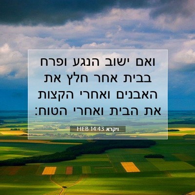 Picture 07 - ויקרא 14:43 HEB - ואם ישוב הנגע ופרח בבית אחר - Bible Verse Picture