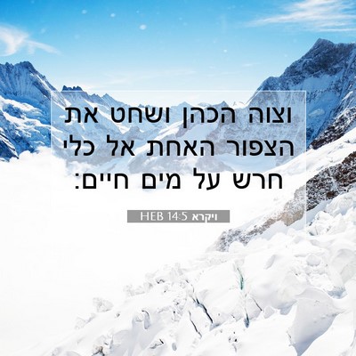 Picture 07 - ויקרא 14:5 HEB - וצוה הכהן ושחט את הצפור - Bible Verse Picture