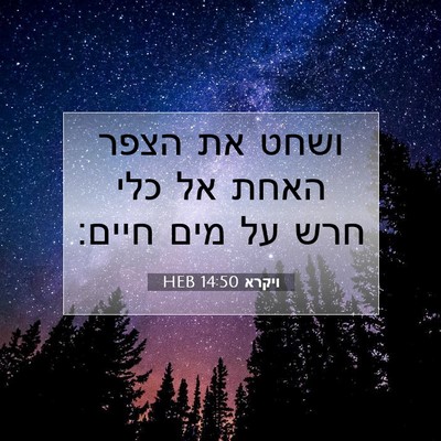 Picture 07 - ויקרא 14:50 HEB - ושחט את הצפר האחת אל כלי - Bible Verse Picture
