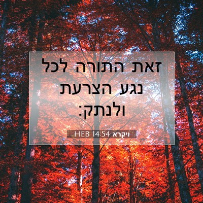 Picture 07 - ויקרא 14:54 HEB - זאת התורה לכל נגע הצרעת - Bible Verse Picture
