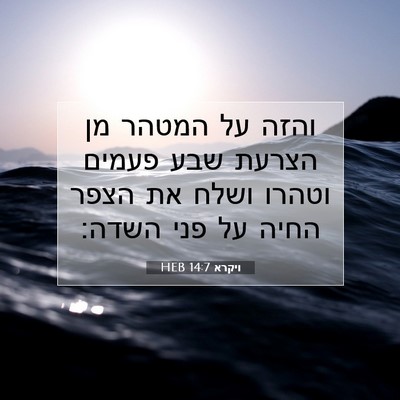 Picture 07 - ויקרא 14:7 HEB - והזה על המטהר מן הצרעת שבע - Bible Verse Picture