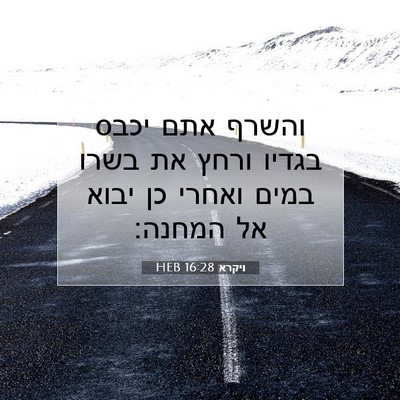 Picture 07 - ויקרא 16:28 HEB - והשרף אתם יכבס בגדיו ורחץ - Bible Verse Picture
