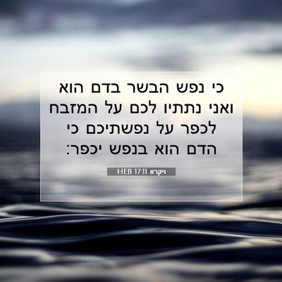 Picture 07 - ויקרא 17:11 HEB - כי נפש הבשר בדם הוא ואני - Bible Verse Picture