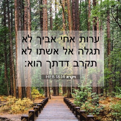 Picture 07 - ויקרא 18:14 HEB - ערות אחי אביך לא תגלה אל - Bible Verse Picture